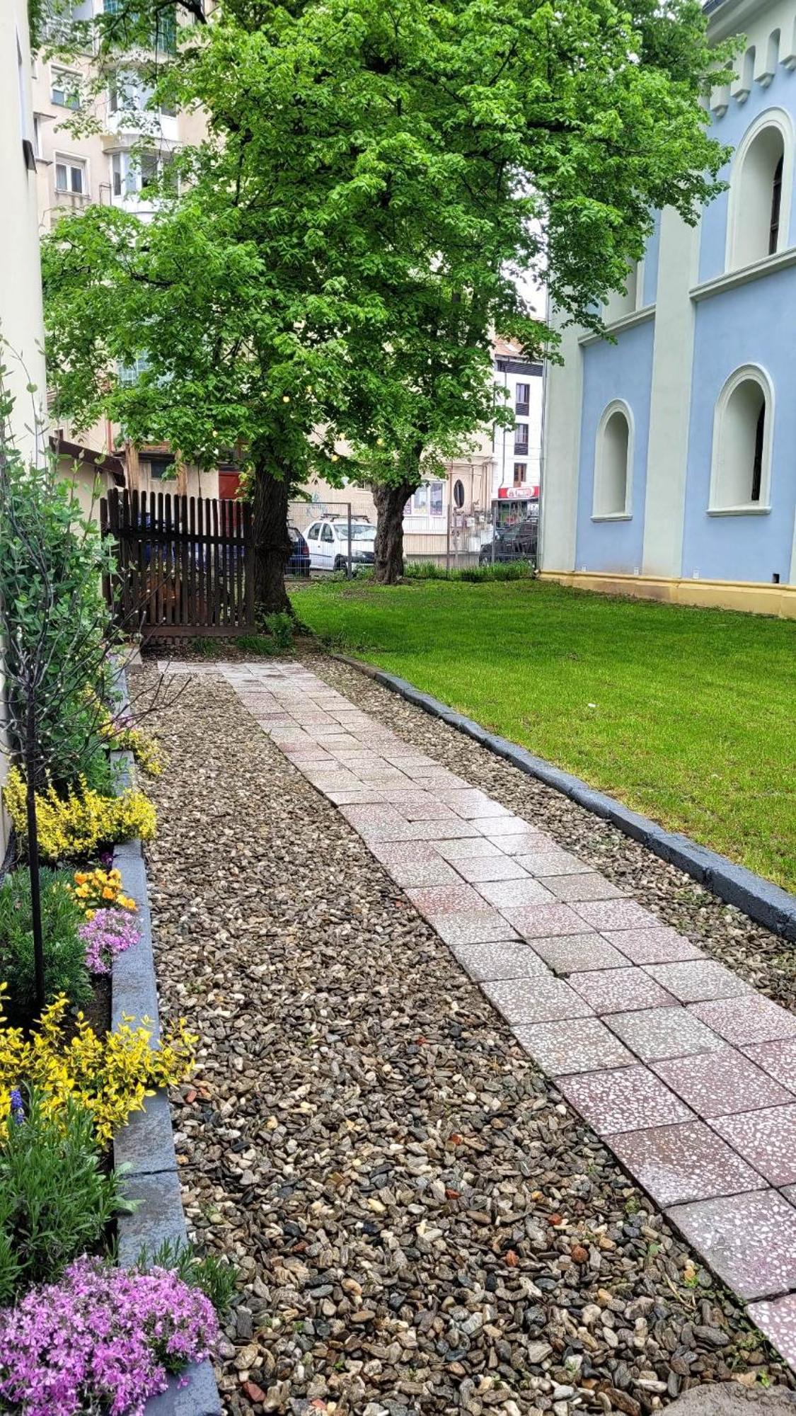Făgăraş Urban Six Apartments מראה חיצוני תמונה