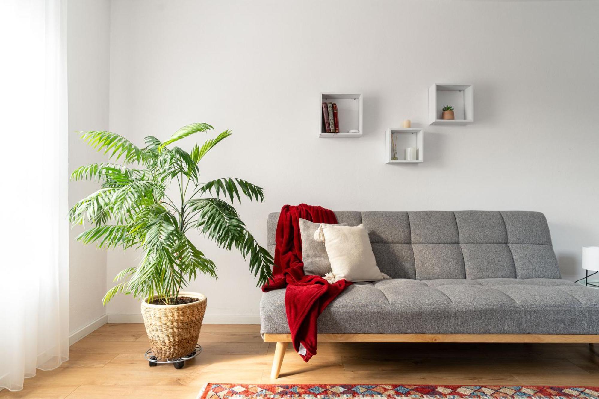 Făgăraş Urban Six Apartments מראה חיצוני תמונה